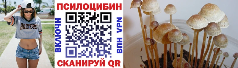 MEGA tor  Архангельск  Галлюциногенные грибы MAGIC MUSHROOMS  где купить  